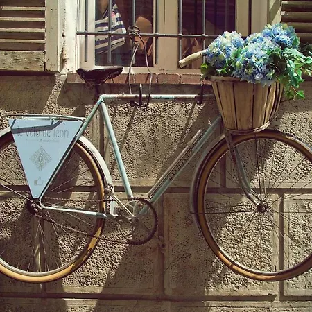 In Near La Salis Dom wakacyjny